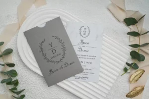 sivo elegant i providno 9297